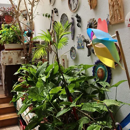 Stavros Gæstehus Rhodes City